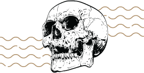 skull-element